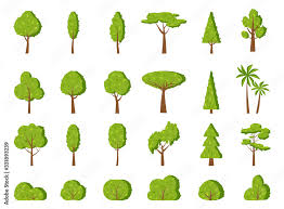 Summer Tree And Bush Flat Cartoon Icon