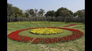 Spring Is Parked Here Delhi S Gardens