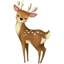 Deer Icon Children S Book Animal