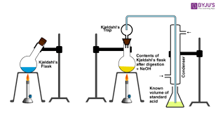 Kjeldahl Method For Nitrogen