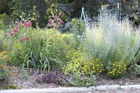 Perennial Flower Garden Design