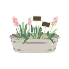 Flower Pot Drawing Vector Art Icons