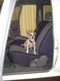 Dog Car Seat Cover