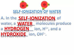 Ppt Self Ionization Of Water