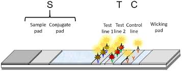 Spot Tests Past And Present Springerlink