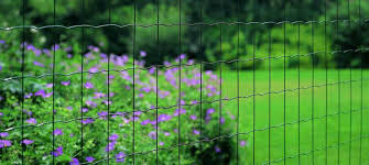Garden Wire Fencing