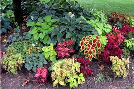 Shade Garden Plans Smart Design Tips