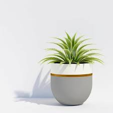 Extra Large Outdoor Planter At Rs 442