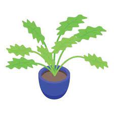 Big Leaf Plant Pot Icon Isometric