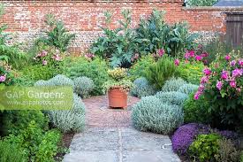 Formal Herb Garden I Stock Photo By