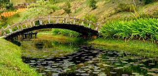 Small Bridge Images Browse 74 269