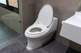 Toilet Seat