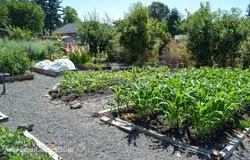 Vegetable Garden Design For Easy Care