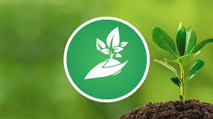 Gardening Indoor Seed Starting