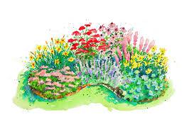Garden Plans Filled With Plants