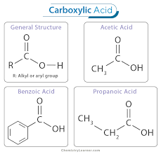 Carboxylic Acid Definition Examples