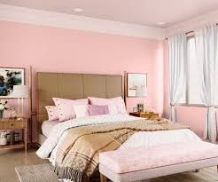 Ruddy Pink 8057 House Wall Painting