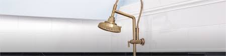 Shower Arms Shower Brizo