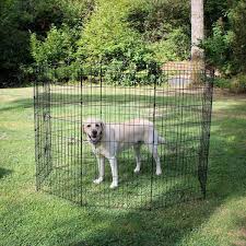Exercise Pen With Stakes Zw 11648