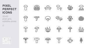 Fungi Icon Images Browse 70 664 Stock