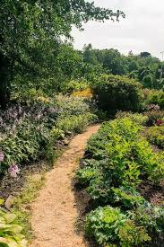 Park Among Dense Vegetation Garden