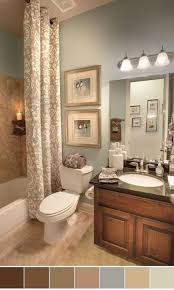 111 Best Bathroom Color Schemes For