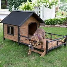 The Best Dog House Ideas