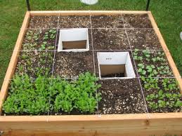 Square Foot Gardening Real