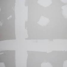 Dead Flat Interior Paint Pr10501