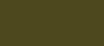 Hex Color 4e481e Color Name Bronze