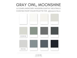 Gray Owl Moonshine Neutral Paint Color