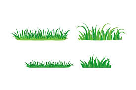 Grass Bushes Vector Icon Green Plants