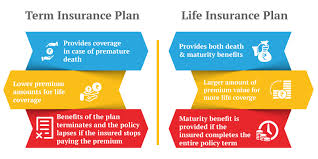 Term Insurance Vs Life Insurance What