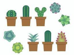 Succulent Potted Plant Ilration And