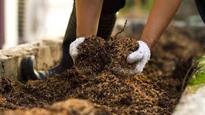 Soil Is Best For Growing Vegetables