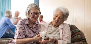 Colonial Gardens Nursing Home In Pico