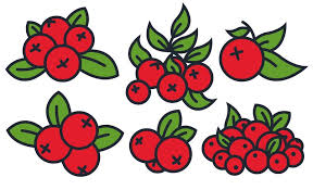 Cranberry Vector Art Icons And