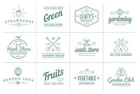 Fruits Or Vegetables Icons Ilration