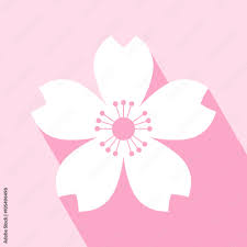Cherry Blossom Icon Sakura Icon All