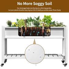 Hips Plastic Raised Garden Bed