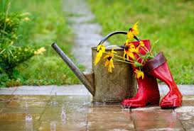 Tips To Prepare Your Garden For Spring