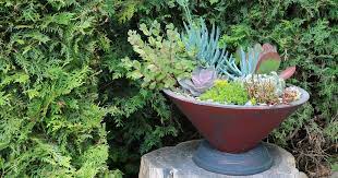 16 Succulent Planter Ideas With Plant