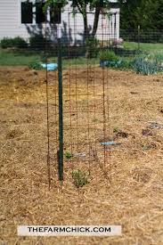 How To Make The Best Tomato Cages