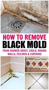 Remove Black Mold Shower Grout