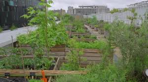 Roof Garden For Cooperative Ro