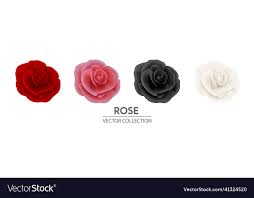 3d Realistic Flower Rose Icon Set