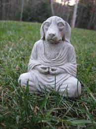 Buddha Dogs Meditating Pet Dog Cement