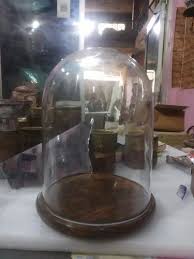 Glass Display Cloche Bell Jar Dome For