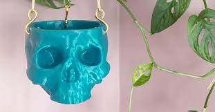 Plants Hang Out In A Skull Planter