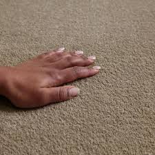 Crown Saxony Carpet Tapi Carpets Floors